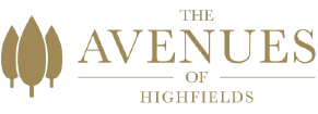 Avenues Logo sized